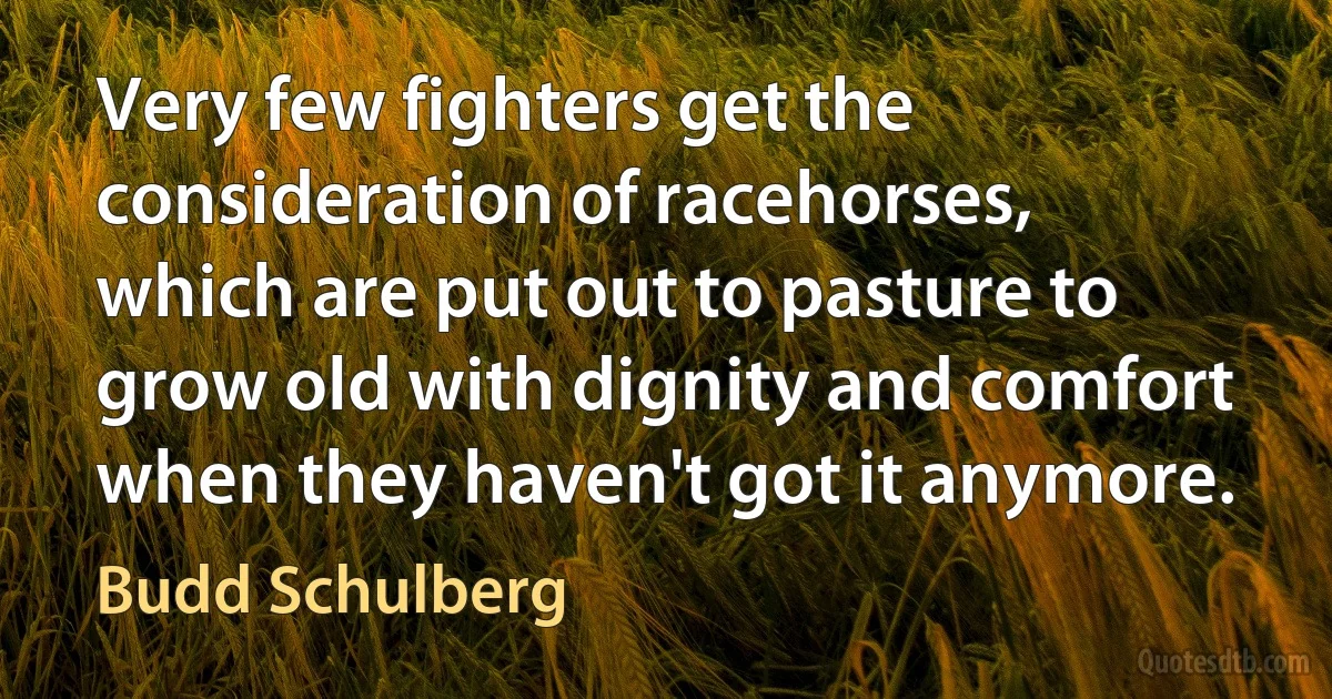 Very few fighters get the consideration of racehorses, which are put out to pasture to grow old with dignity and comfort when they haven't got it anymore. (Budd Schulberg)