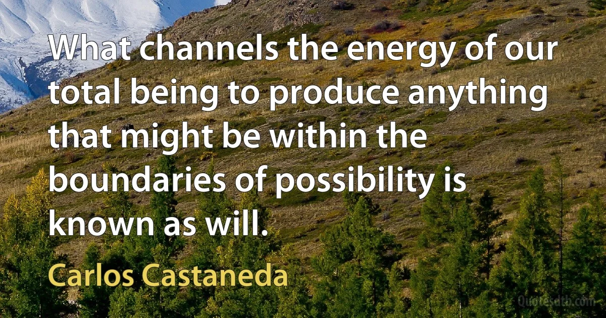 What channels the energy of our total being to produce anything that might be within the boundaries of possibility is known as will. (Carlos Castaneda)