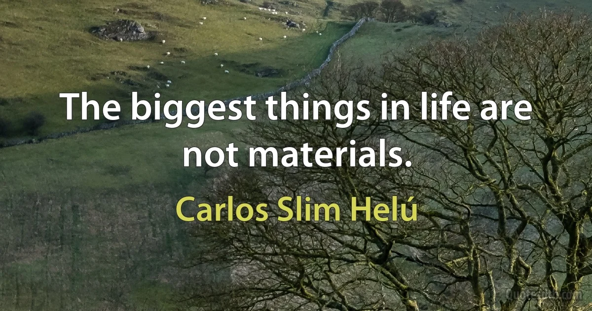 The biggest things in life are not materials. (Carlos Slim Helú)