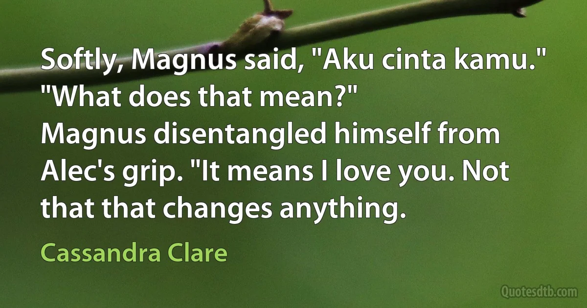 Softly, Magnus said, "Aku cinta kamu."
"What does that mean?"
Magnus disentangled himself from Alec's grip. "It means I love you. Not that that changes anything. (Cassandra Clare)