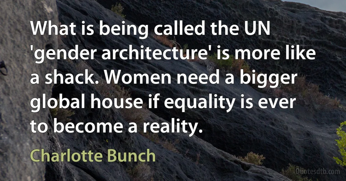 What is being called the UN 'gender architecture' is more like a shack. Women need a bigger global house if equality is ever to become a reality. (Charlotte Bunch)