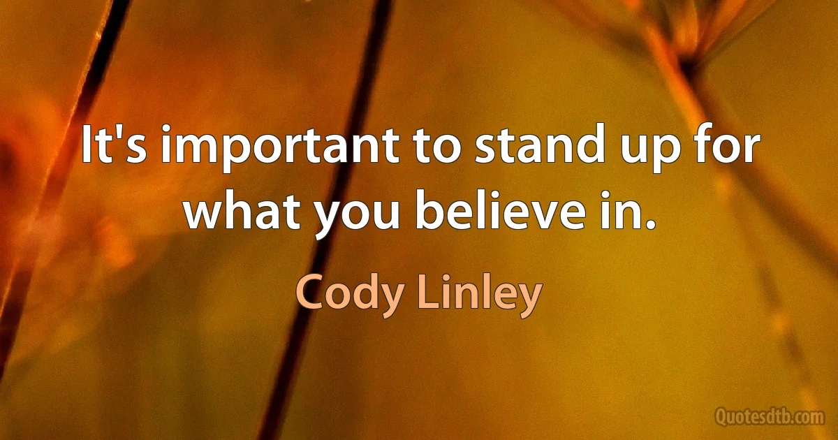 It's important to stand up for what you believe in. (Cody Linley)