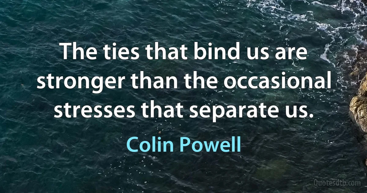 The ties that bind us are stronger than the occasional stresses that separate us. (Colin Powell)