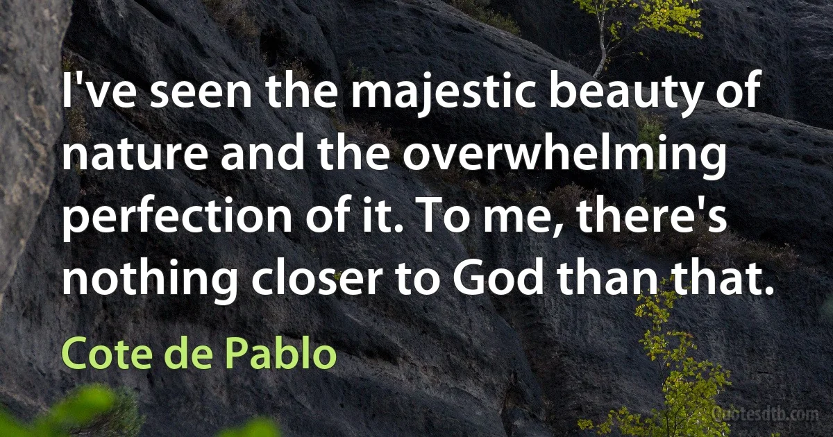 I've seen the majestic beauty of nature and the overwhelming perfection of it. To me, there's nothing closer to God than that. (Cote de Pablo)