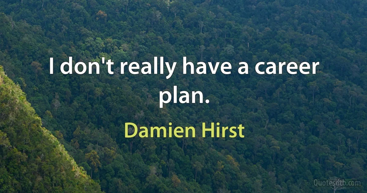 I don't really have a career plan. (Damien Hirst)