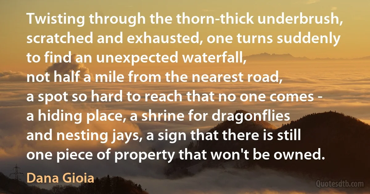 Twisting through the thorn-thick underbrush,
scratched and exhausted, one turns suddenly
to find an unexpected waterfall,
not half a mile from the nearest road,
a spot so hard to reach that no one comes -
a hiding place, a shrine for dragonflies
and nesting jays, a sign that there is still
one piece of property that won't be owned. (Dana Gioia)