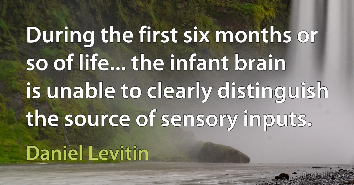 During the first six months or so of life... the infant brain is unable to clearly distinguish the source of sensory inputs. (Daniel Levitin)