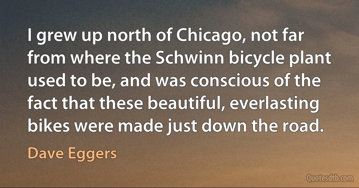 I grew up north of Chicago, not far from where the Schwinn bicycle plant used to be, and was conscious of the fact that these beautiful, everlasting bikes were made just down the road. (Dave Eggers)