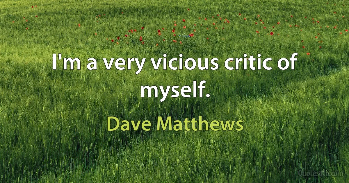 I'm a very vicious critic of myself. (Dave Matthews)