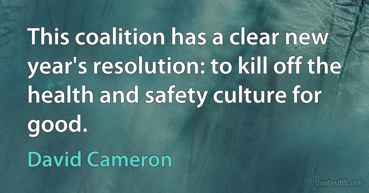 This coalition has a clear new year's resolution: to kill off the health and safety culture for good. (David Cameron)