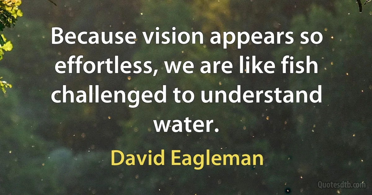 Because vision appears so effortless, we are like fish challenged to understand water. (David Eagleman)