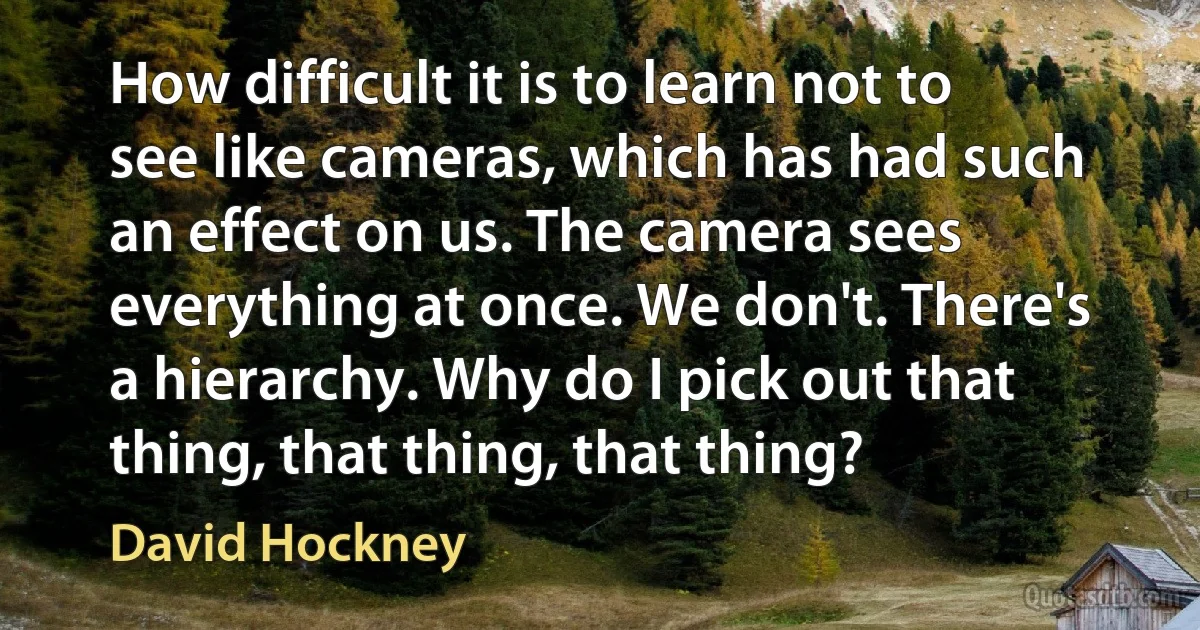 How difficult it is to learn not to see like cameras, which has had such an effect on us. The camera sees everything at once. We don't. There's a hierarchy. Why do I pick out that thing, that thing, that thing? (David Hockney)