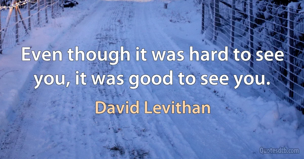 Even though it was hard to see you, it was good to see you. (David Levithan)