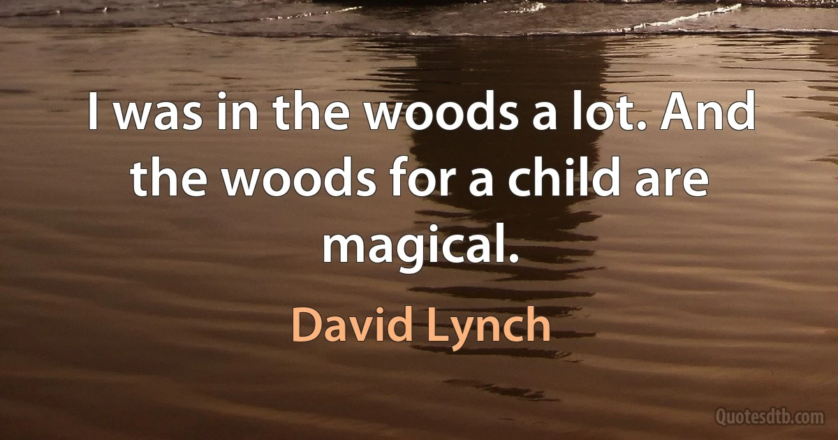 I was in the woods a lot. And the woods for a child are magical. (David Lynch)