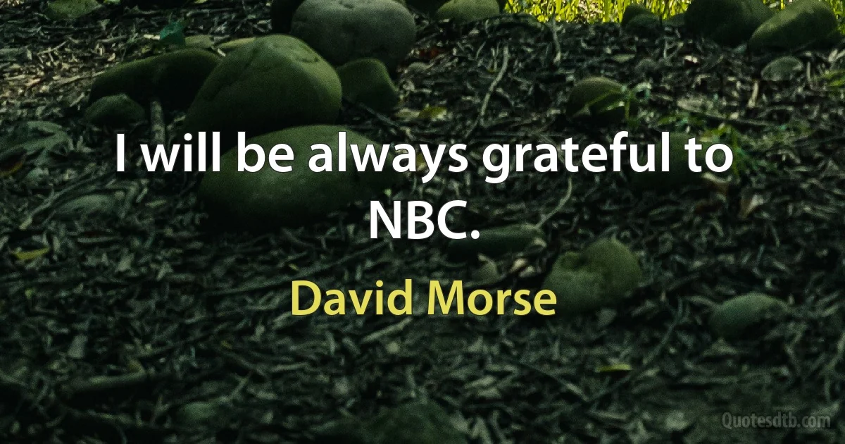 I will be always grateful to NBC. (David Morse)