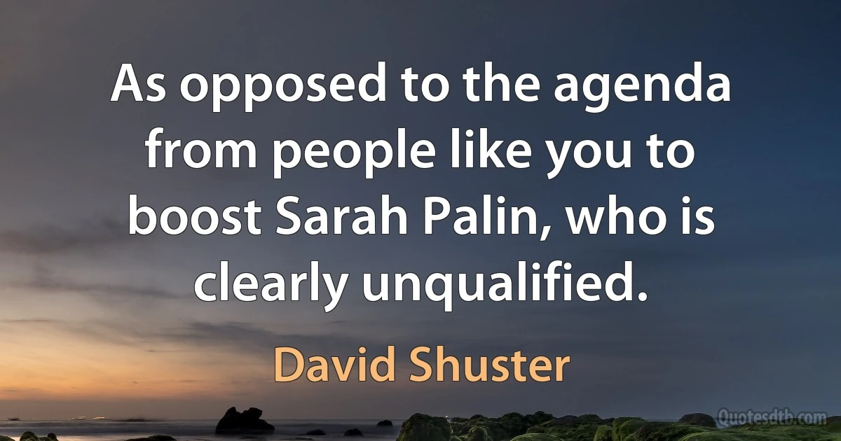 As opposed to the agenda from people like you to boost Sarah Palin, who is clearly unqualified. (David Shuster)