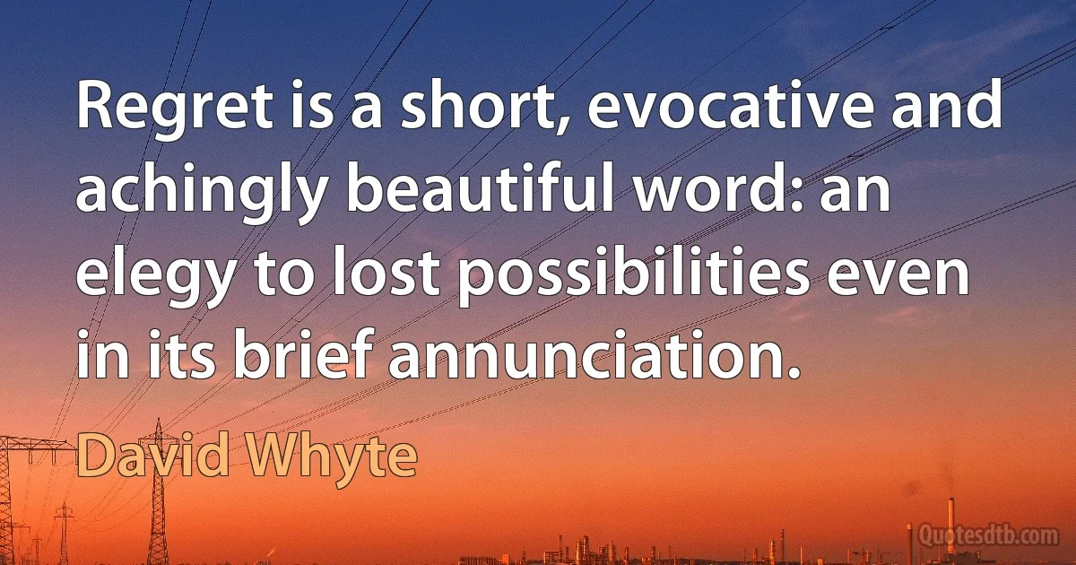 Regret is a short, evocative and achingly beautiful word: an elegy to lost possibilities even in its brief annunciation. (David Whyte)