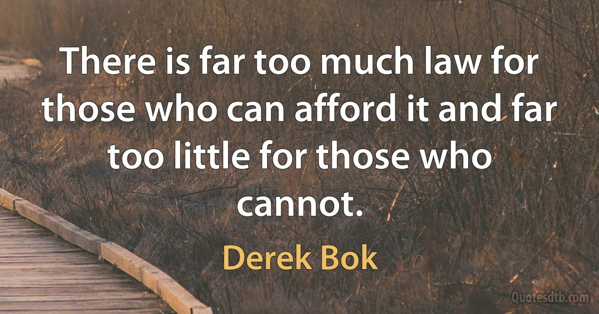 There is far too much law for those who can afford it and far too little for those who cannot. (Derek Bok)