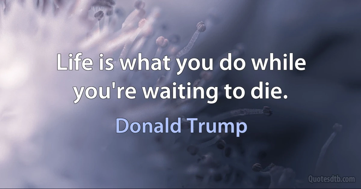 Life is what you do while you're waiting to die. (Donald Trump)