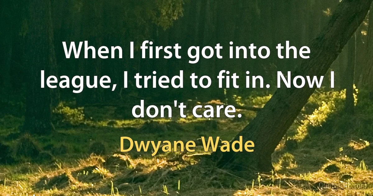 When I first got into the league, I tried to fit in. Now I don't care. (Dwyane Wade)