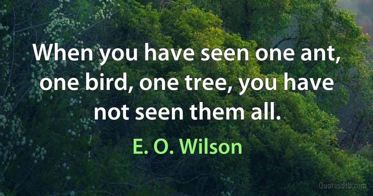 When you have seen one ant, one bird, one tree, you have not seen them all. (E. O. Wilson)