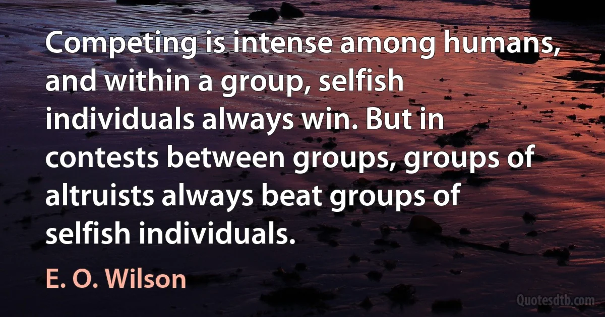 Competing is intense among humans, and within a group, selfish individuals always win. But in contests between groups, groups of altruists always beat groups of selfish individuals. (E. O. Wilson)