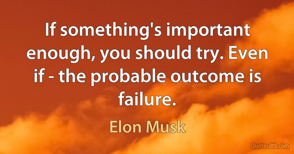 If something's important enough, you should try. Even if - the probable outcome is failure. (Elon Musk)