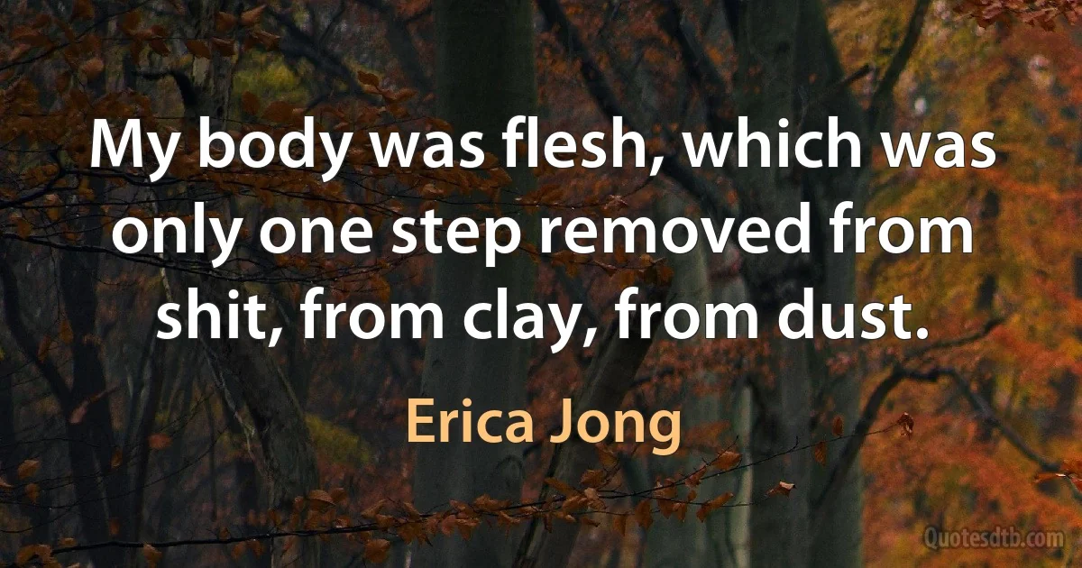 My body was flesh, which was only one step removed from shit, from clay, from dust. (Erica Jong)