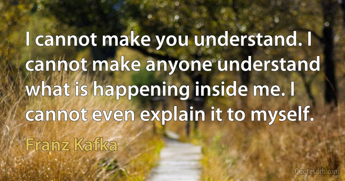 I cannot make you understand. I cannot make anyone understand what is happening inside me. I cannot even explain it to myself. (Franz Kafka)