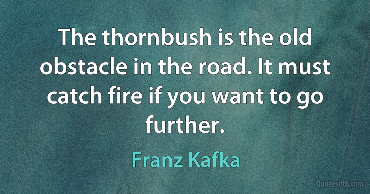 The thornbush is the old obstacle in the road. It must catch fire if you want to go further. (Franz Kafka)