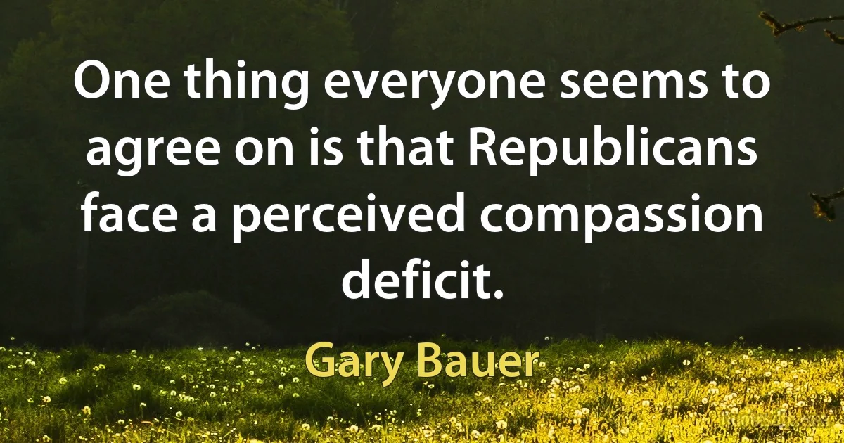 One thing everyone seems to agree on is that Republicans face a perceived compassion deficit. (Gary Bauer)