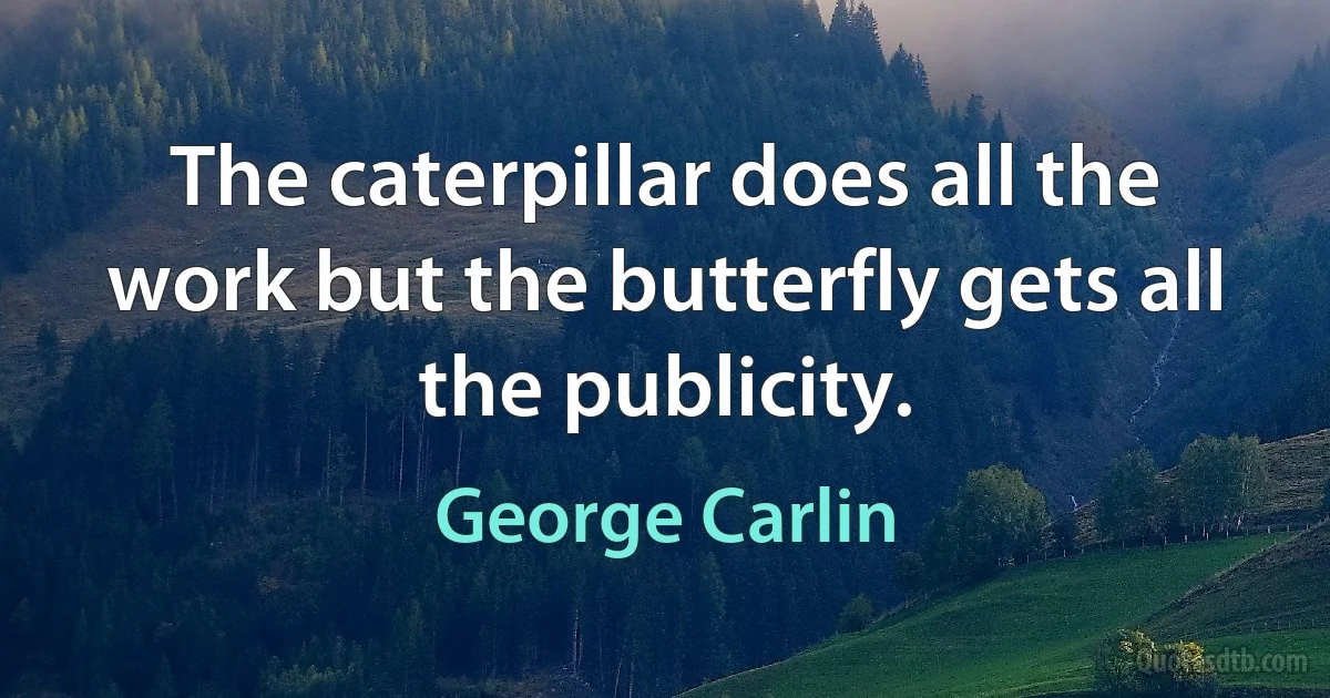 The caterpillar does all the work but the butterfly gets all the publicity. (George Carlin)