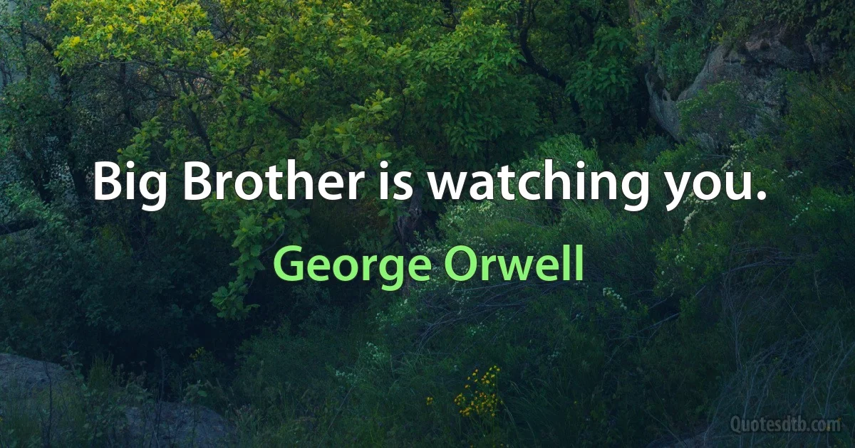 Big Brother is watching you. (George Orwell)