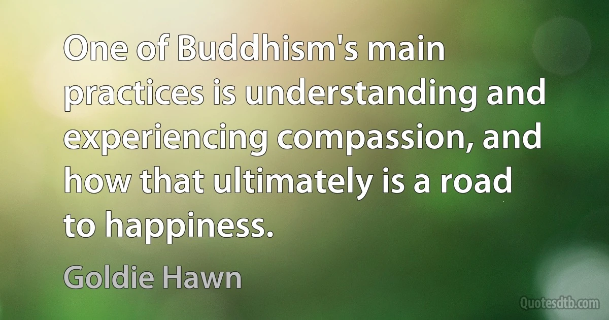 One of Buddhism's main practices is understanding and experiencing compassion, and how that ultimately is a road to happiness. (Goldie Hawn)