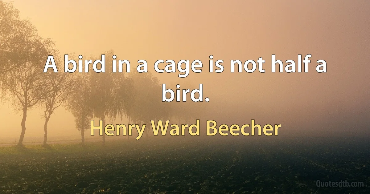 A bird in a cage is not half a bird. (Henry Ward Beecher)