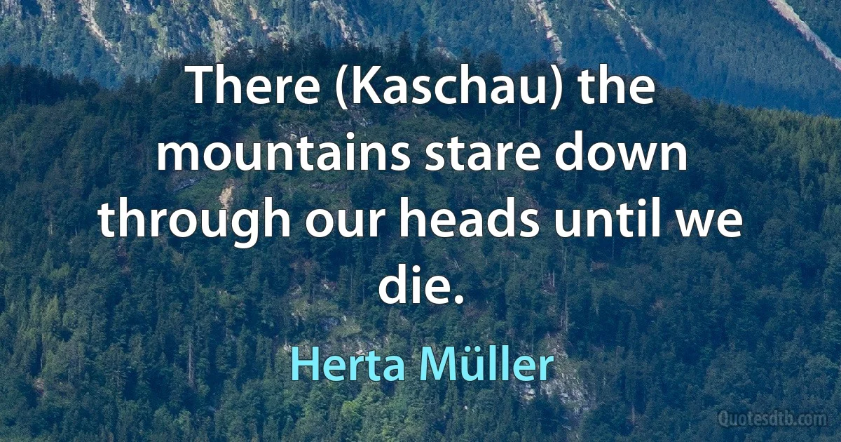 There (Kaschau) the mountains stare down through our heads until we die. (Herta Müller)