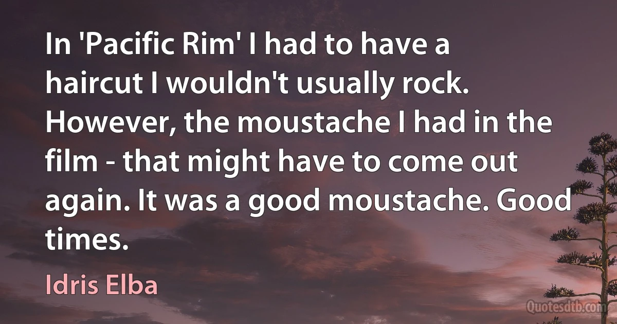 In 'Pacific Rim' I had to have a haircut I wouldn't usually rock. However, the moustache I had in the film - that might have to come out again. It was a good moustache. Good times. (Idris Elba)