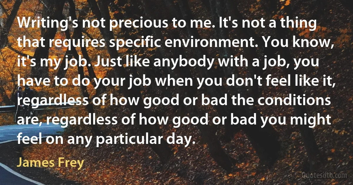 Writing's not precious to me. It's not a thing that requires specific environment. You know, it's my job. Just like anybody with a job, you have to do your job when you don't feel like it, regardless of how good or bad the conditions are, regardless of how good or bad you might feel on any particular day. (James Frey)