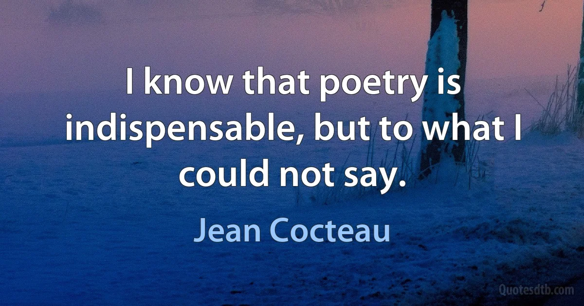 I know that poetry is indispensable, but to what I could not say. (Jean Cocteau)