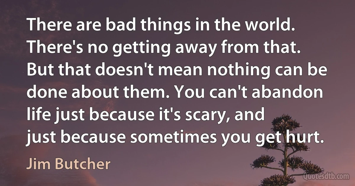 There are bad things in the world. There's no getting away from that. But that doesn't mean nothing can be done about them. You can't abandon life just because it's scary, and just because sometimes you get hurt. (Jim Butcher)