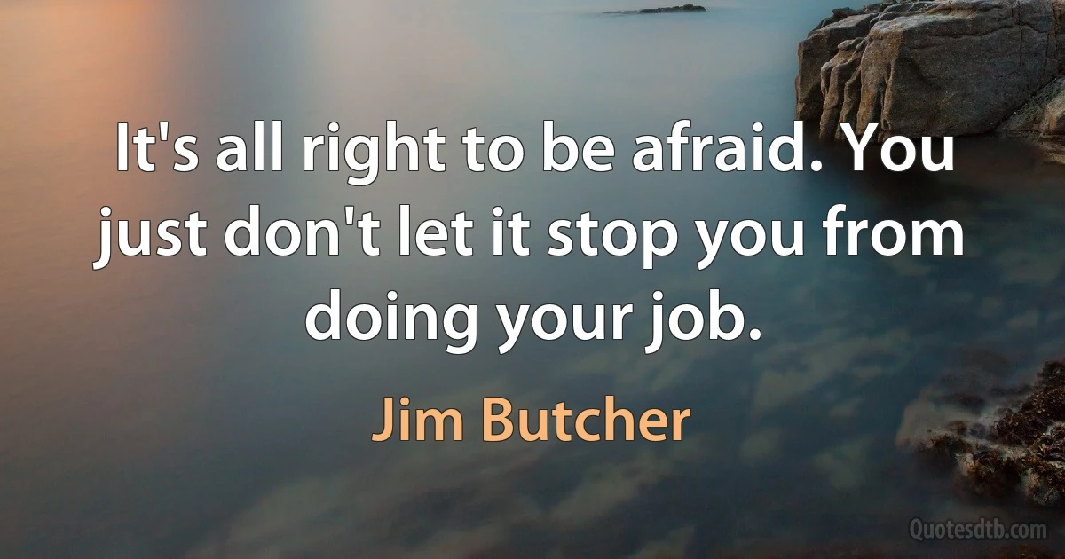 It's all right to be afraid. You just don't let it stop you from doing your job. (Jim Butcher)