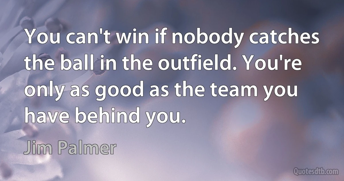 You can't win if nobody catches the ball in the outfield. You're only as good as the team you have behind you. (Jim Palmer)