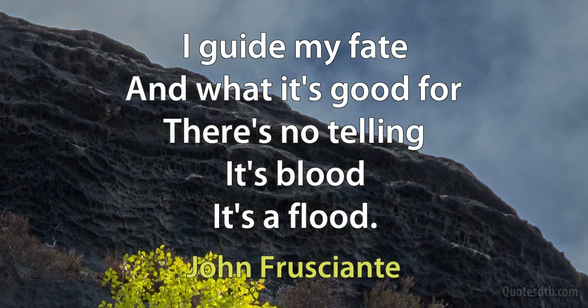 I guide my fate
And what it's good for
There's no telling
It's blood
It's a flood. (John Frusciante)