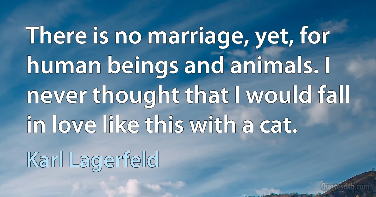 There is no marriage, yet, for human beings and animals. I never thought that I would fall in love like this with a cat. (Karl Lagerfeld)