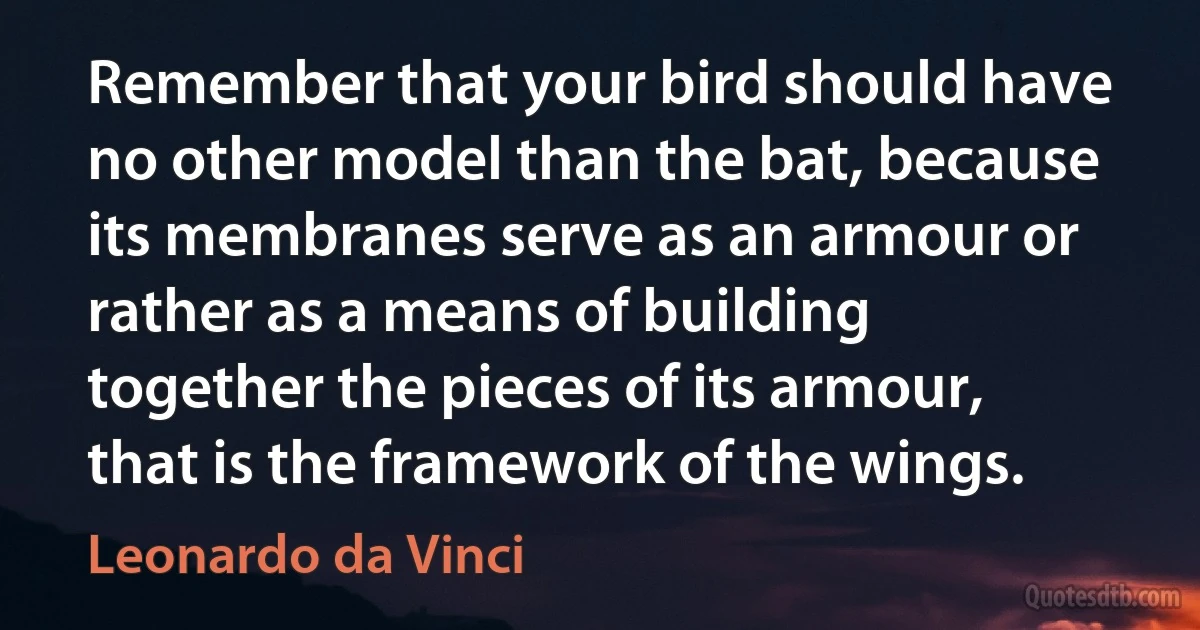 Remember that your bird should have no other model than the bat, because its membranes serve as an armour or rather as a means of building together the pieces of its armour, that is the framework of the wings. (Leonardo da Vinci)