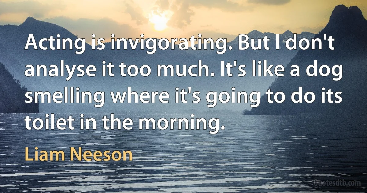 Acting is invigorating. But I don't analyse it too much. It's like a dog smelling where it's going to do its toilet in the morning. (Liam Neeson)