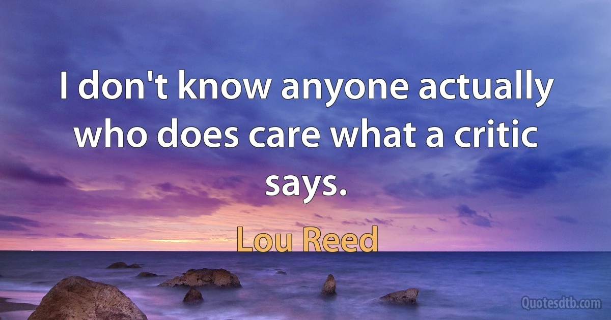 I don't know anyone actually who does care what a critic says. (Lou Reed)