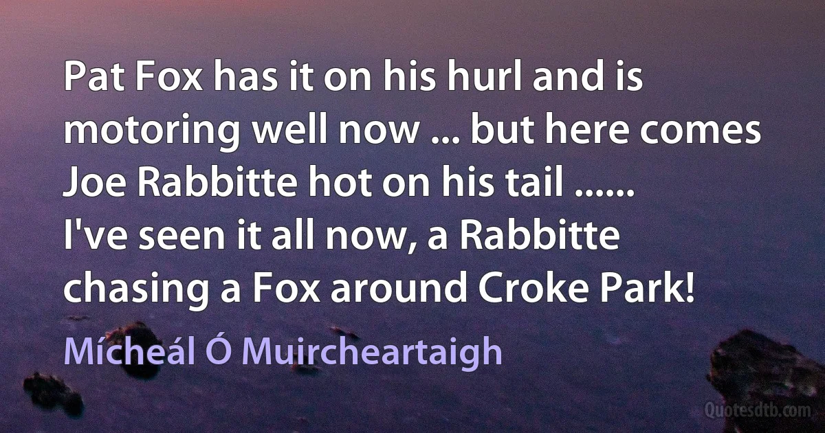 Pat Fox has it on his hurl and is motoring well now ... but here comes Joe Rabbitte hot on his tail ...... I've seen it all now, a Rabbitte chasing a Fox around Croke Park! (Mícheál Ó Muircheartaigh)