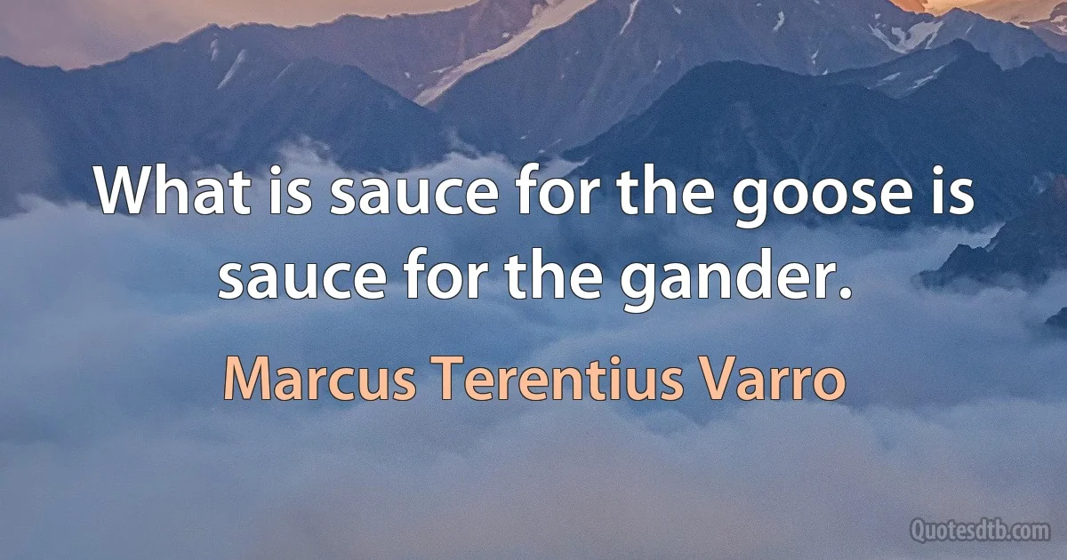 What is sauce for the goose is sauce for the gander. (Marcus Terentius Varro)