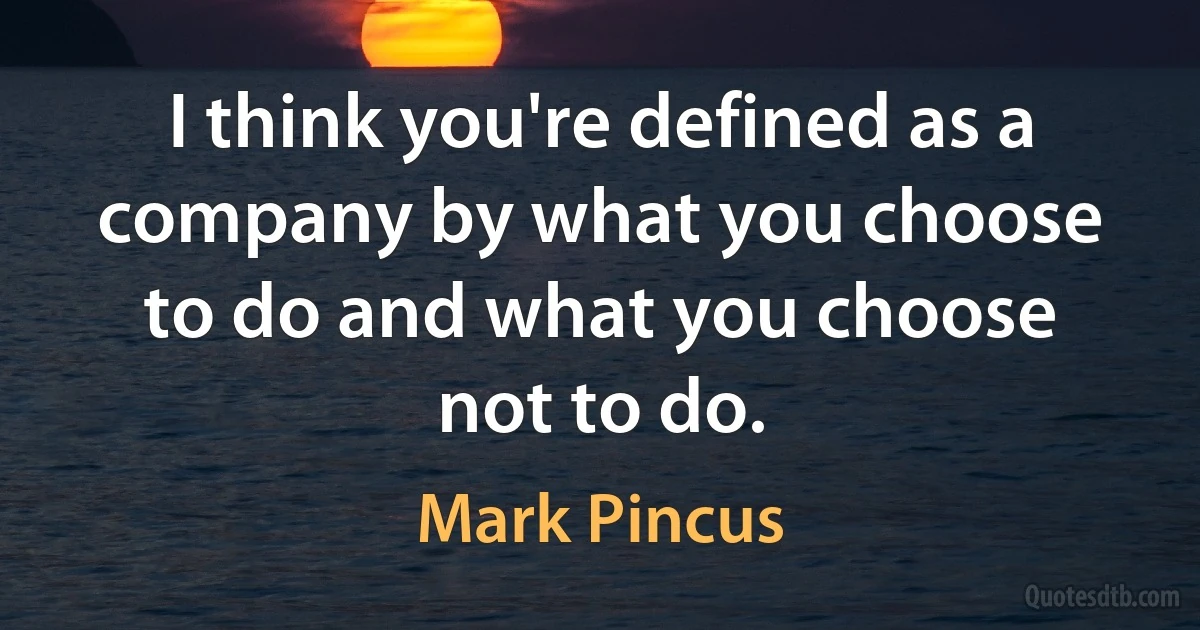 I think you're defined as a company by what you choose to do and what you choose not to do. (Mark Pincus)